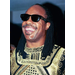 STEVIE WONDER